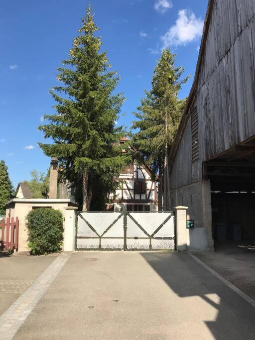 Paisible Logement Tout Equipe Pour 1 A 6 Personnes Ebersheim Exteriör bild